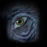 Sorrow & Sadness is expressed through the seldom experienced, yet much neglected collective Soul